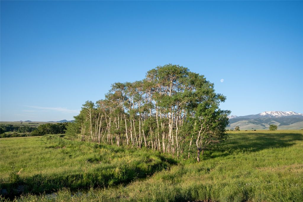 164 Pony Road, Harrison, MT 59735 photo 26