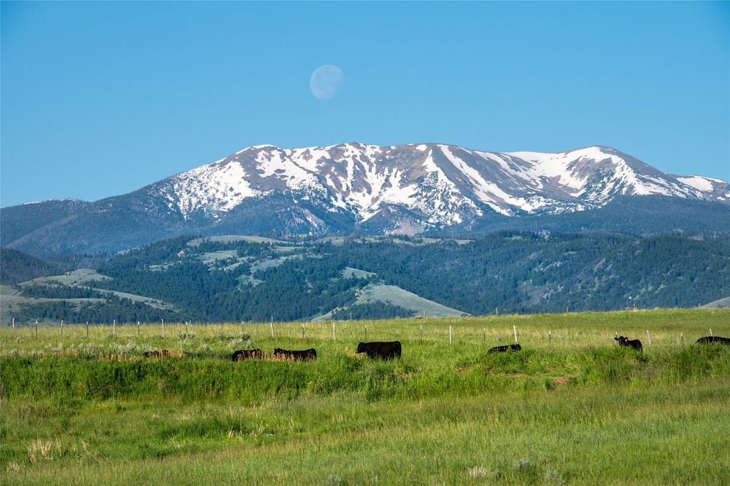 164 Pony Road, Harrison, MT 59735 photo 38