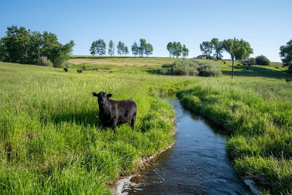 164 Pony Road, Harrison, MT 59735 photo 40