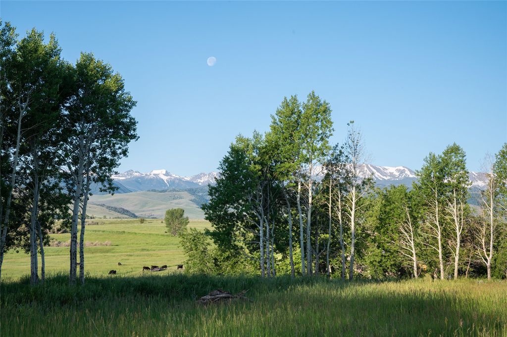 164 Pony Road, Harrison, MT 59735 photo 8