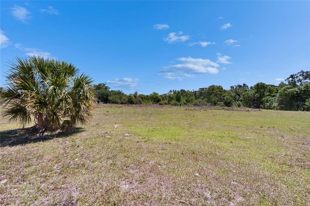 16894 DELIA STREET, Wimauma, FL 33598
