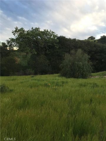 40 Bobcat Springs Road, Buellton, CA 93427