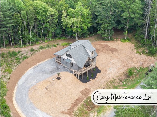 184 Mountain Laurel Ridge, Mineral Bluff, GA 30559