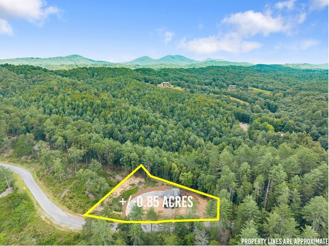 184 Mountain Laurel Ridge, Mineral Bluff, GA 30559