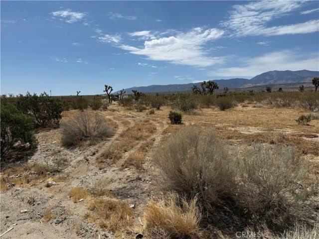 0 PB HWY VIC 187th East, Llano, CA 93544
