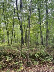 xxx Marble Dr, Cushing Twp, MN 56443