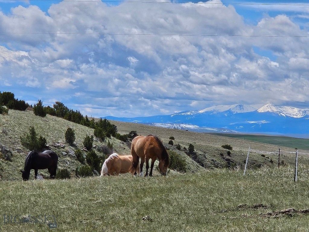 1590 Four Rivers Road, Three Forks, MT 59752