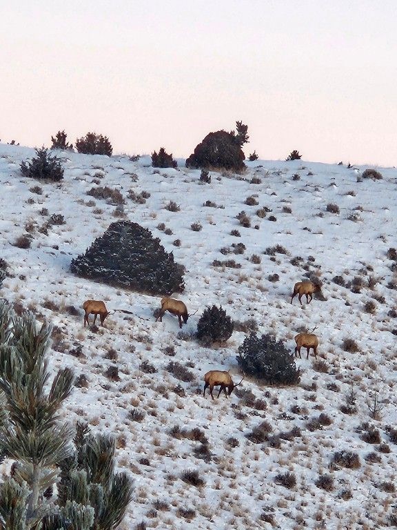 1590 Four Rivers Road, Three Forks, MT 59752 photo 33