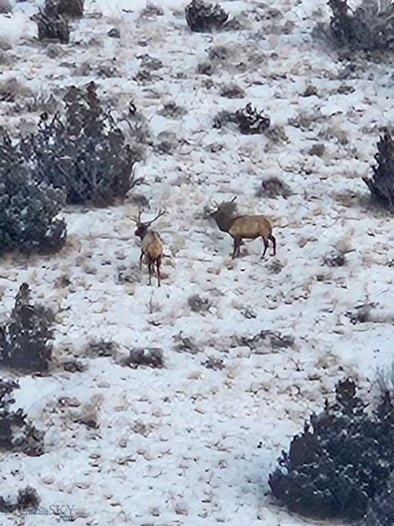 1590 Four Rivers Road, Three Forks, MT 59752 photo 34