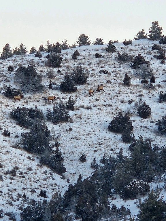 1590 Four Rivers Road, Three Forks, MT 59752 photo 35