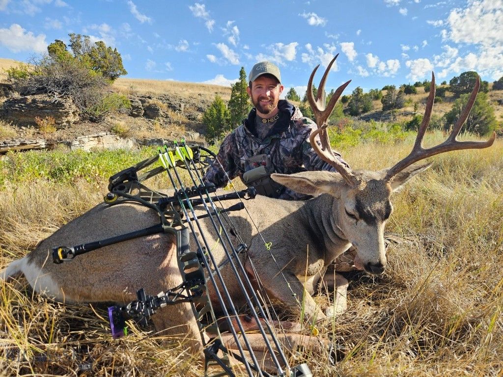 1590 Four Rivers Road, Three Forks, MT 59752 photo 37