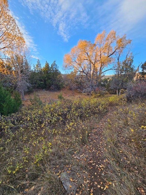 1590 Four Rivers Road, Three Forks, MT 59752 photo 39