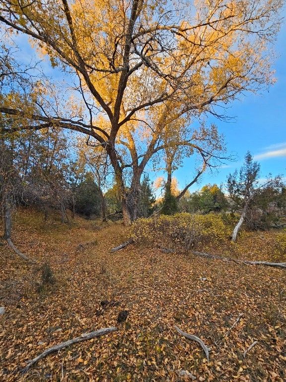 1590 Four Rivers Road, Three Forks, MT 59752 photo 6