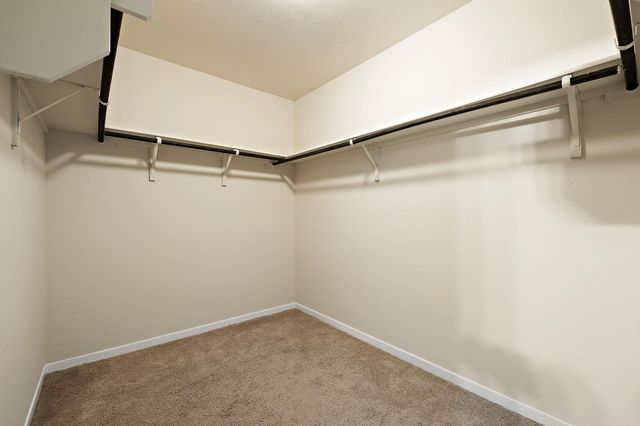 12111 Stoneridge Gap LN, Manor, TX 78653