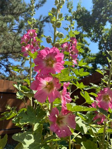 2411 Wintergreen Drive, Grand Junction, CO 81507
