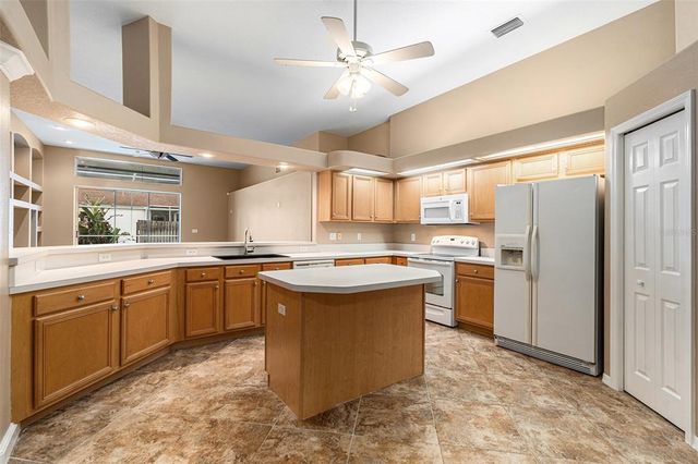 10019 OXFORD CHAPEL DRIVE, Tampa, FL 33647