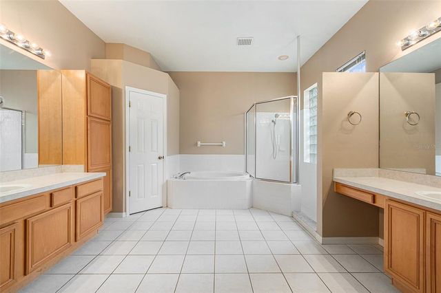 10019 OXFORD CHAPEL DRIVE, Tampa, FL 33647
