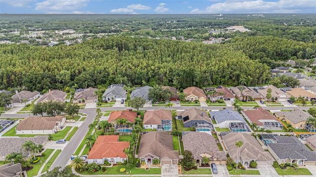 10019 OXFORD CHAPEL DRIVE, Tampa, FL 33647
