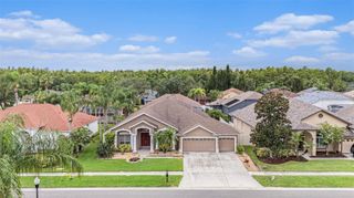 10019 OXFORD CHAPEL DRIVE, Tampa, FL 33647