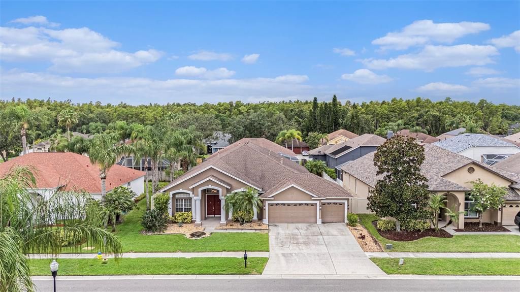 10019 OXFORD CHAPEL DRIVE, Tampa, FL 33647
