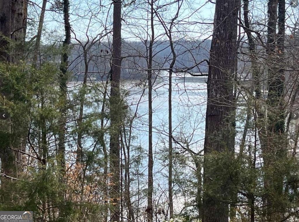 0 Rue Maurice, Lavonia, GA 30553