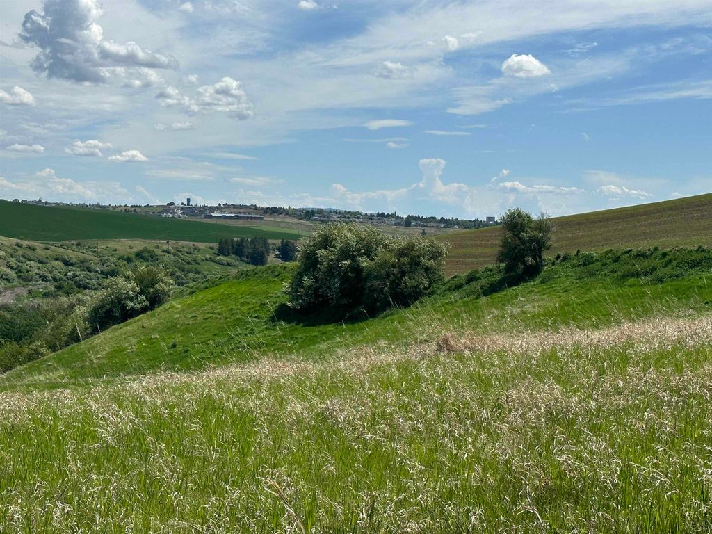 7XX S Armstrong Rd, Pullman, WA 99163 photo 12