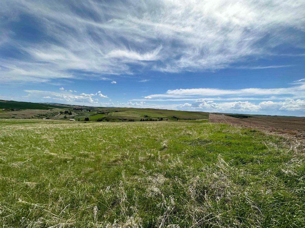 7XX S Armstrong Rd, Pullman, WA 99163 photo 13