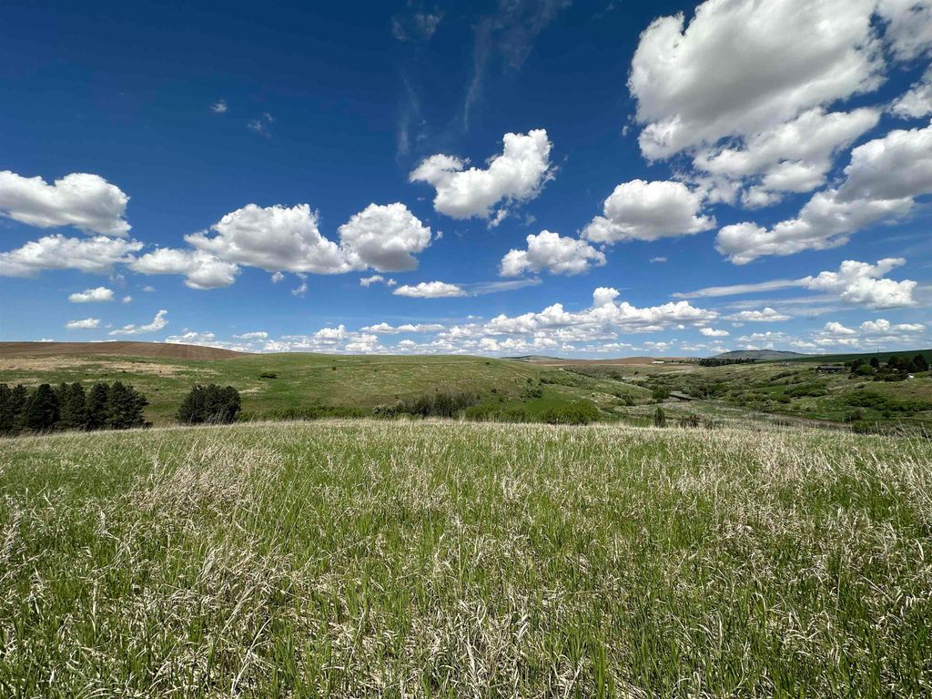 7XX S Armstrong Rd, Pullman, WA 99163 photo 14