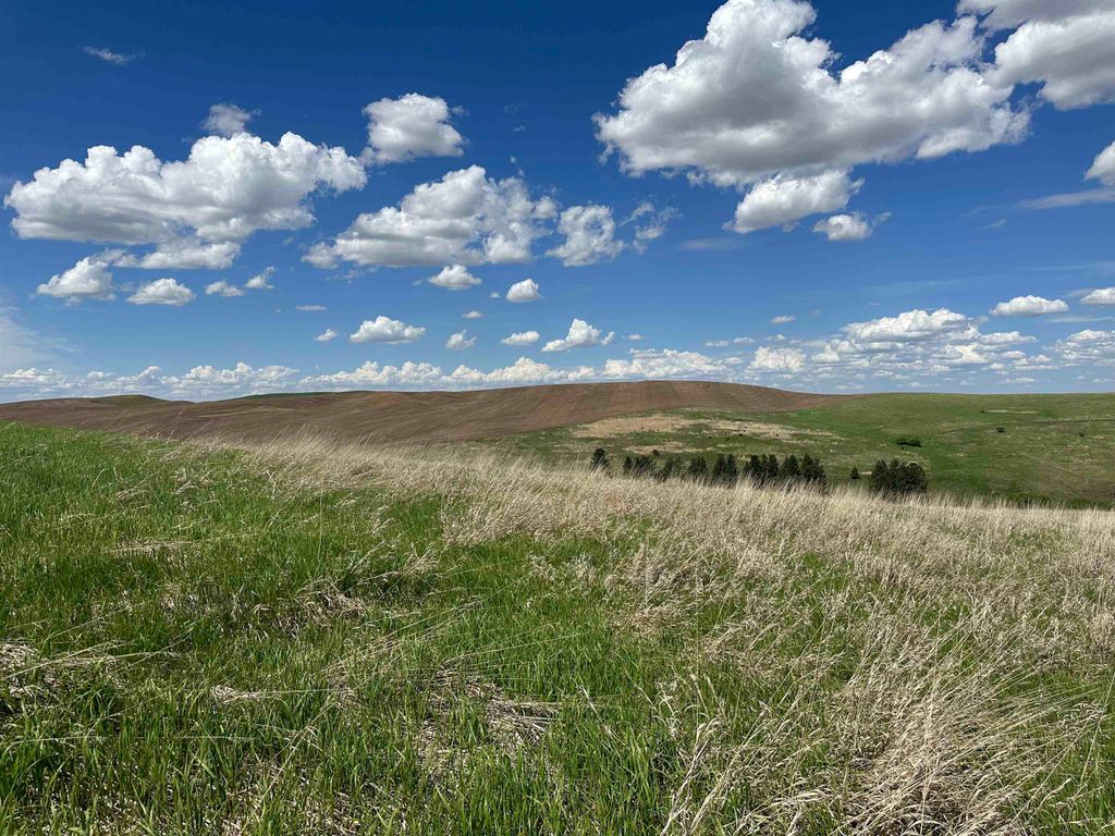 7XX S Armstrong Rd, Pullman, WA 99163 photo 15