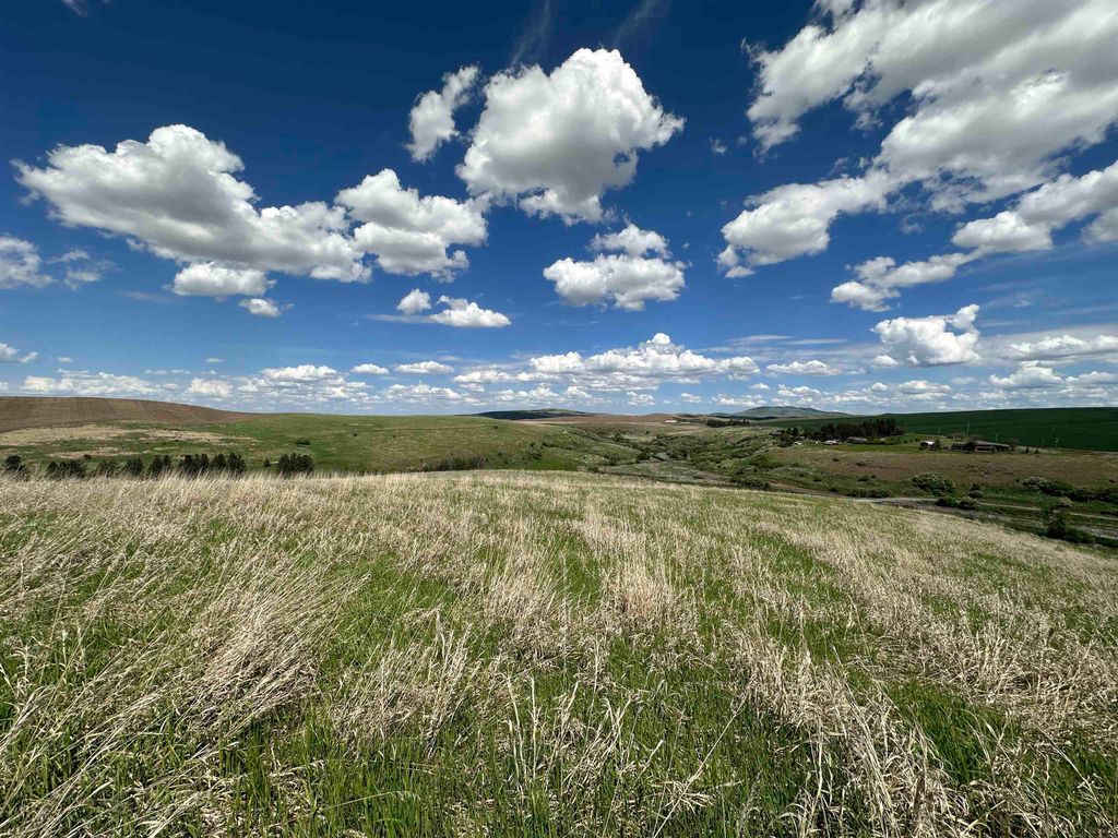 7XX S Armstrong Rd, Pullman, WA 99163 photo 16