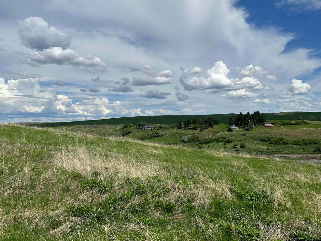 7XX S Armstrong Rd, Pullman, WA 99163 photo 17