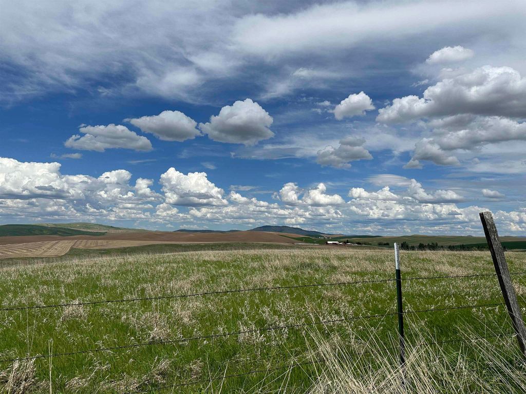 7XX S Armstrong Rd, Pullman, WA 99163 photo 18