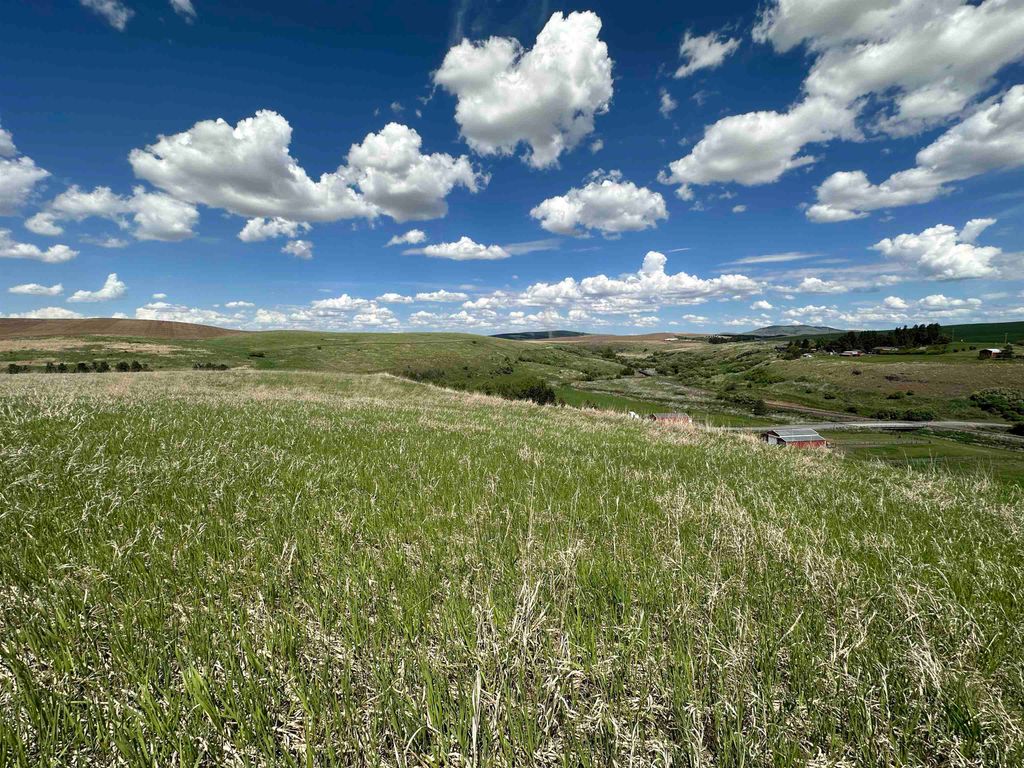 7XX S Armstrong Rd, Pullman, WA 99163 photo 20