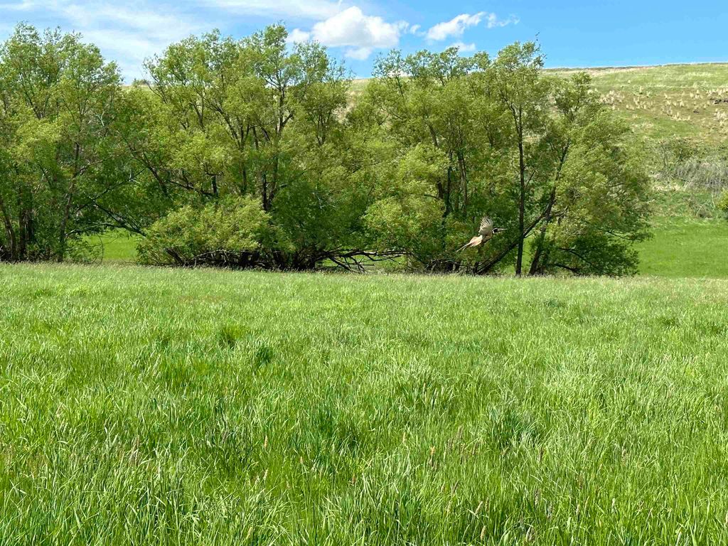 7XX S Armstrong Rd, Pullman, WA 99163 photo 9