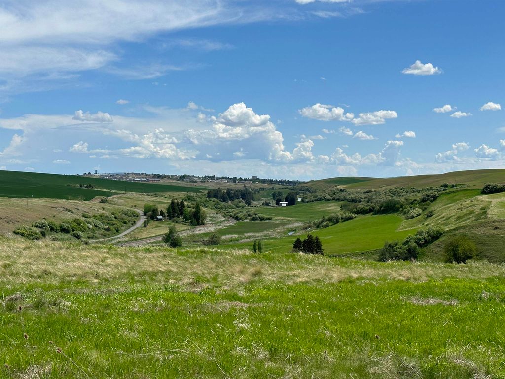 7XX S Armstrong Rd, Pullman, WA 99163 photo 10