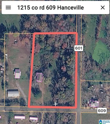 1215 COUNTY ROAD 609, Hanceville, AL 35077