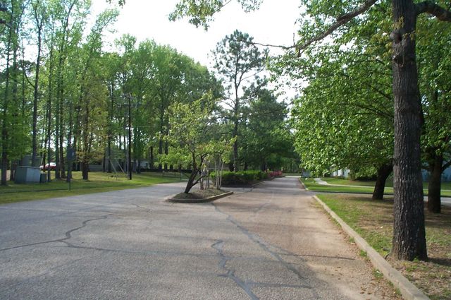 14 Altwood Drive, Coldspring, TX 77331