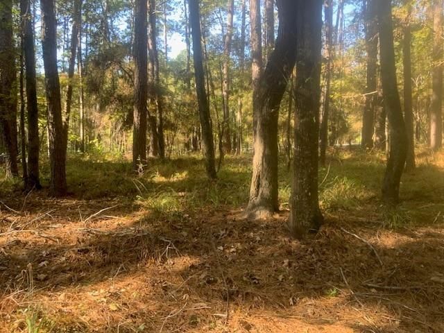 14 Altwood Drive, Coldspring, TX 77331