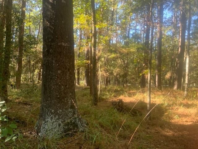 14 Altwood Drive, Coldspring, TX 77331