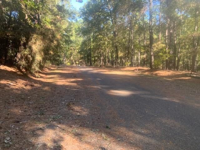14 Altwood Drive, Coldspring, TX 77331