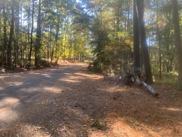 14 Altwood Drive, Coldspring, TX 77331