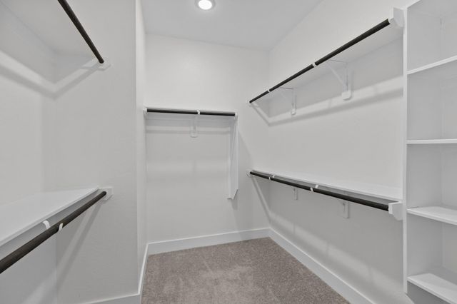 10031 Crescendo Way, Iowa Colony, TX 77583