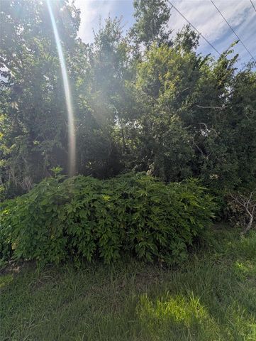 000 Bay Court, Brazoria, TX 77422