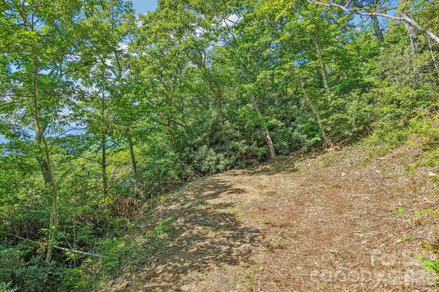 G6 Ataya Trail, Maggie Valley, NC 28751
