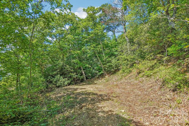 G6 Ataya Trail, Maggie Valley, NC 28751