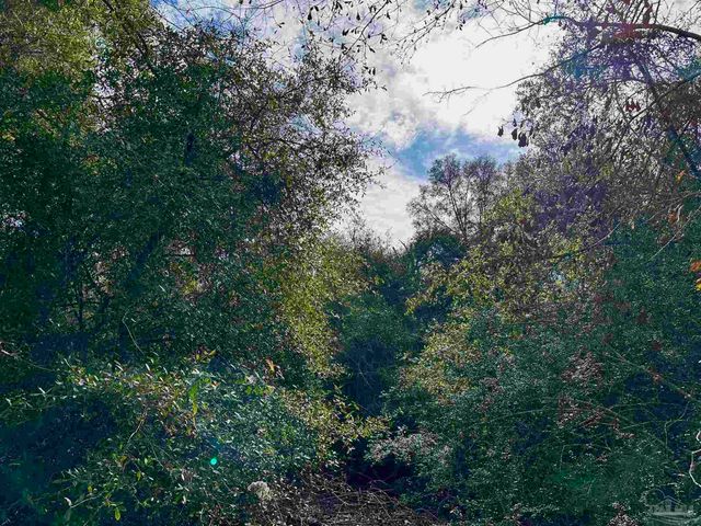 400 BLK N Century Blvd, Mcdavid, FL 32568