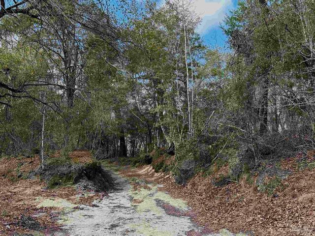 400 BLK N Century Blvd, Mcdavid, FL 32568