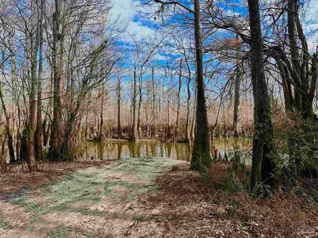 400 BLK N Century Blvd, Mcdavid, FL 32568