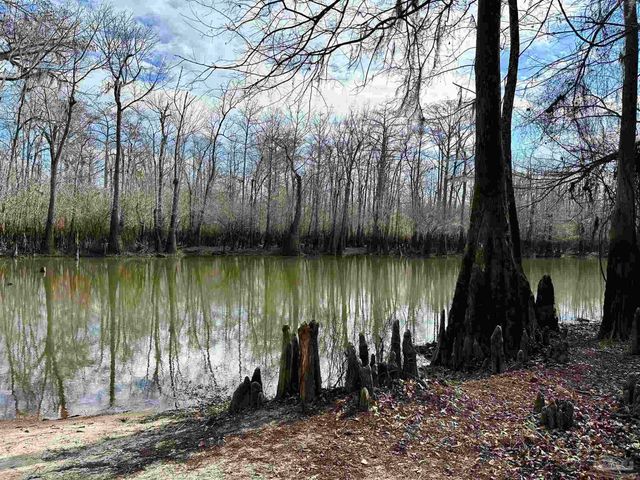 400 BLK N Century Blvd, Mcdavid, FL 32568