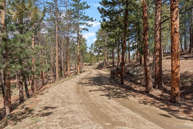 442 Ruby Forest Trail, Evergreen, CO 80439